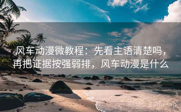 风车动漫微教程：先看主语清楚吗，再把证据按强弱排，风车动漫是什么